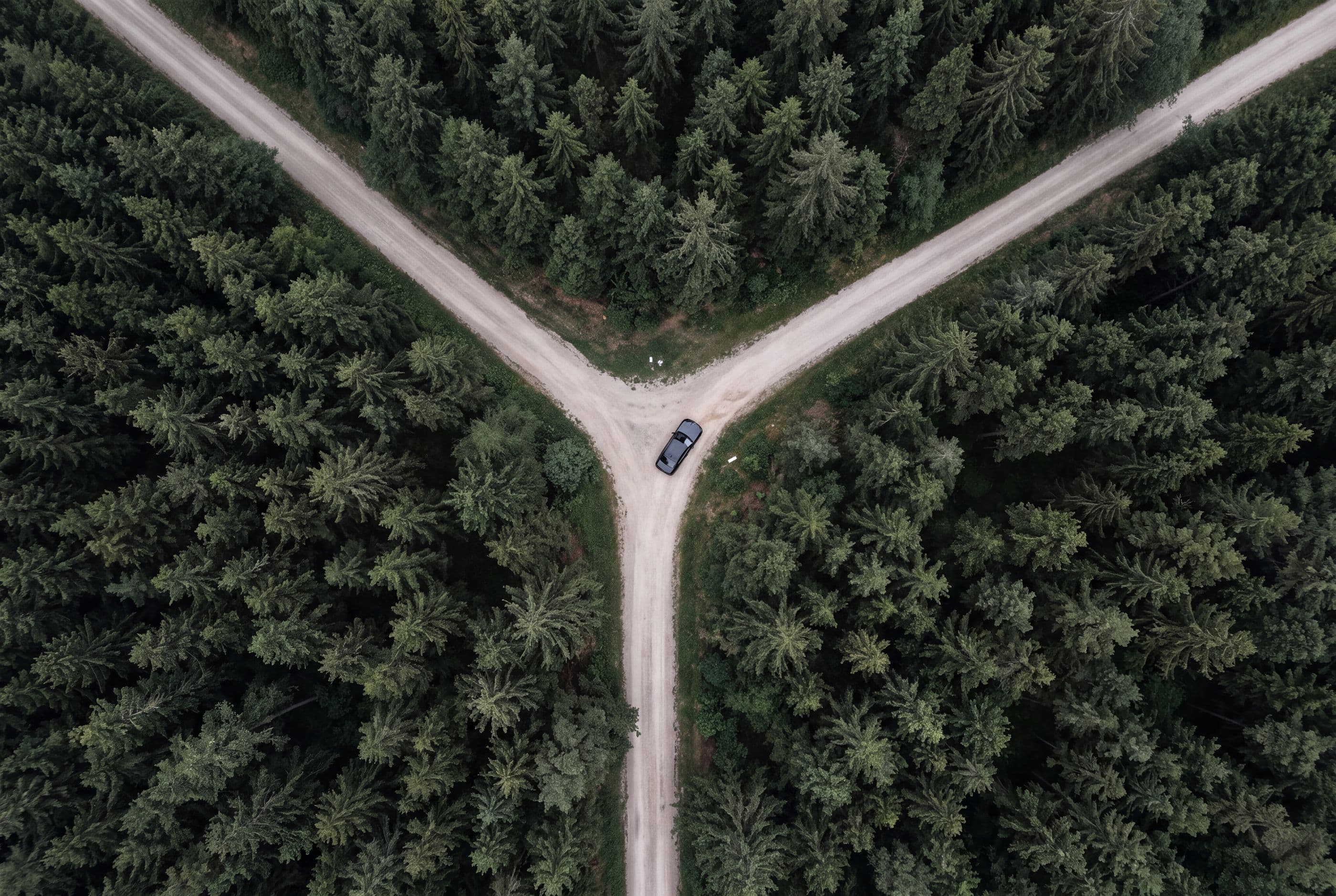Three forest roads meeting among dark firs, seen from directly above, one small black car at the junction.
